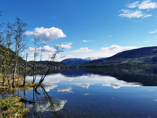 文章合为时而著,歌诗合为事而作是哪个诗派